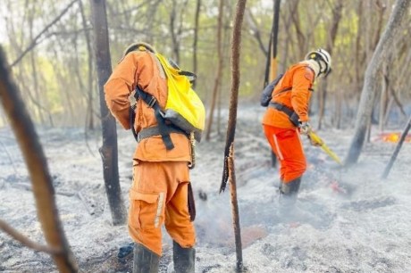 Bombeiros combatem incêndios em áreas de vegetação no Oeste baiano