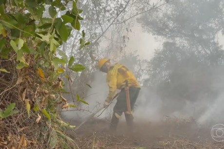 Focos de incêndio no Pantanal de MS estão controlados, mas bombeiros seguem em alerta