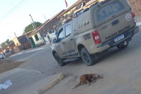 Homem é encontrado morto em Formosa do Rio Preto nesta sexta.