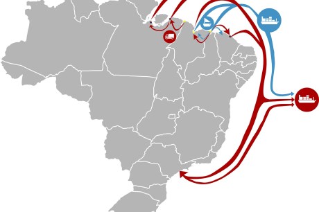 Receita apreende 185 kg de barbatanas de tubarão-azul ameaçado de extinção