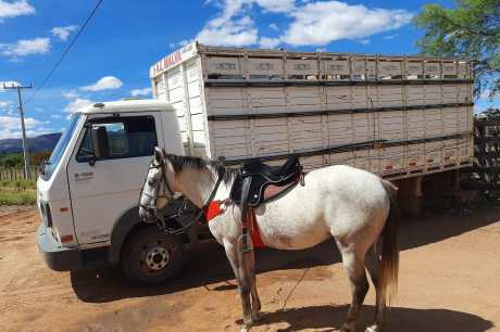 Proprietário procura por caminhão furtado em Ibotirama