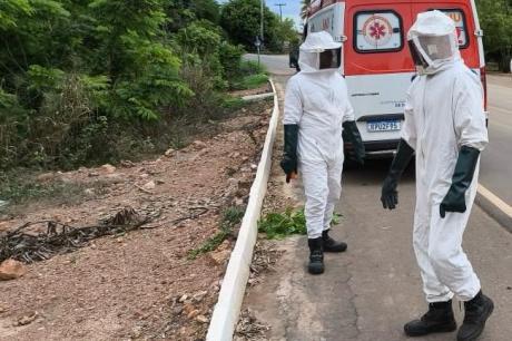 Idoso é Resgatado pelo 17º Batalhão de Bombeiros Militar após Ataque de Abelhas em Barreiras