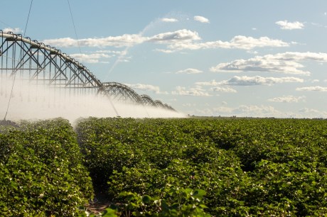 Oeste da Bahia se torna o maior polo de irrigação por pivôs centrais do Brasil