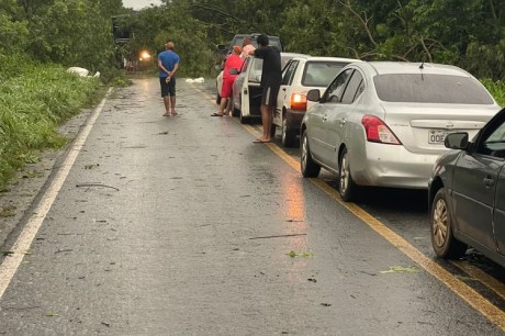 ARVORES CAEM NA BR-135 ENTRE FORMOSA DO RIO PRETO E RIACHÃO DAS NEVES