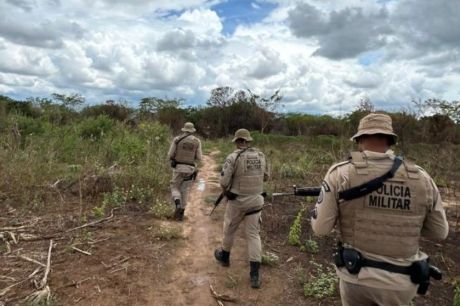 Operação Opará erradica plantação de maconha na zona rural de Muquém do São Francisco