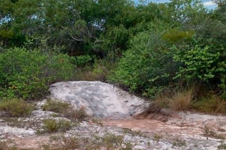 Corpo é encontrado às margens de rodovia na Chapada Diamantina